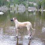 Walking on water